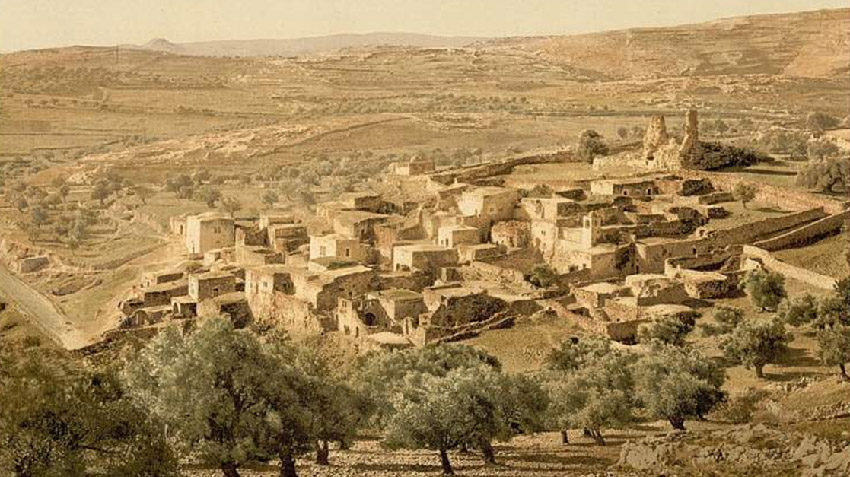 Foto panoramica del villaggio di Betania nella Terra Santa, con viale di ingresso al paese costeggiato da ulivi.