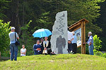 Anteprima 6