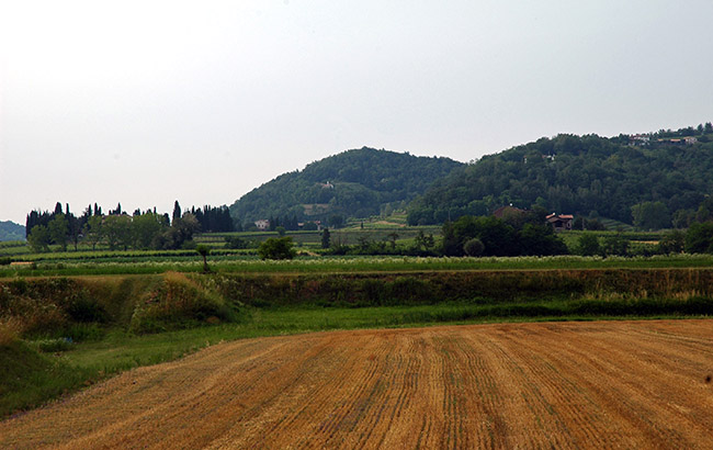 Vencò foto 1: sanfte Landschaft