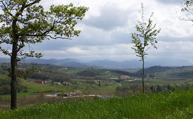 Vencò foto 2: chiesetta sul colle