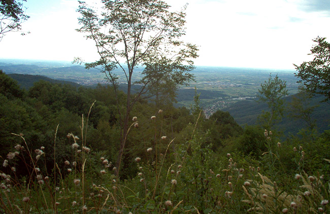 Puller foto 1: panorama