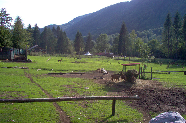 Piano di Fraccadice foto 1: il parco