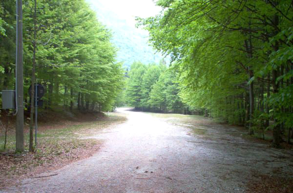 Rifugio ANA foto 1: the trail