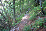 Anteprima foto 3