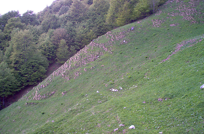 Casera Nischiuarch foto 4: the ridge