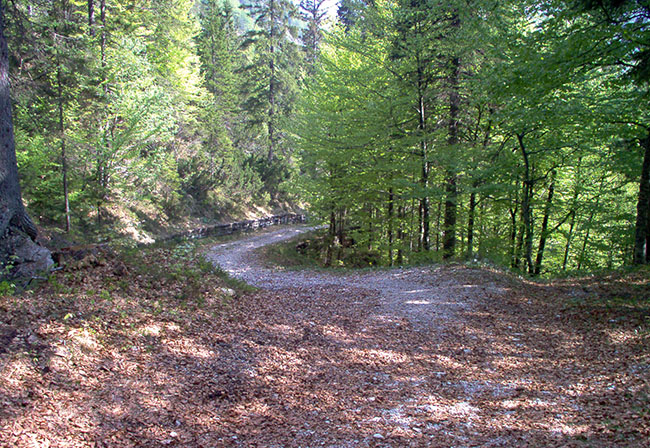 Rifugio Grego foto 3: the old trail