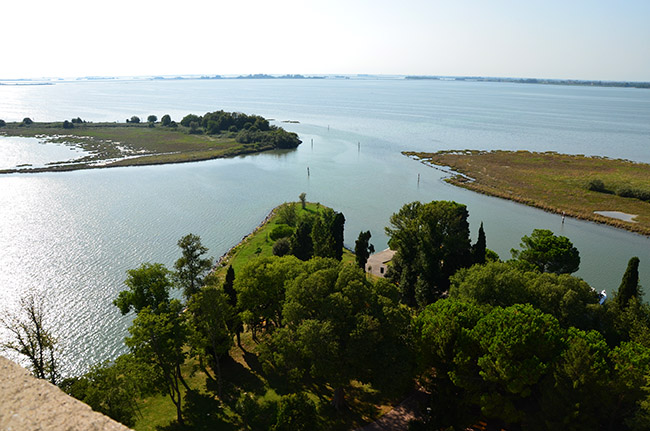 Laguna di Grado foto 1: il fondale