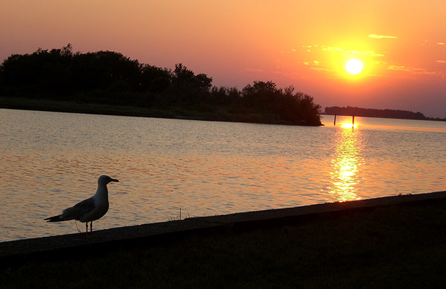 Laguna di Grado foto 4: tramonto
