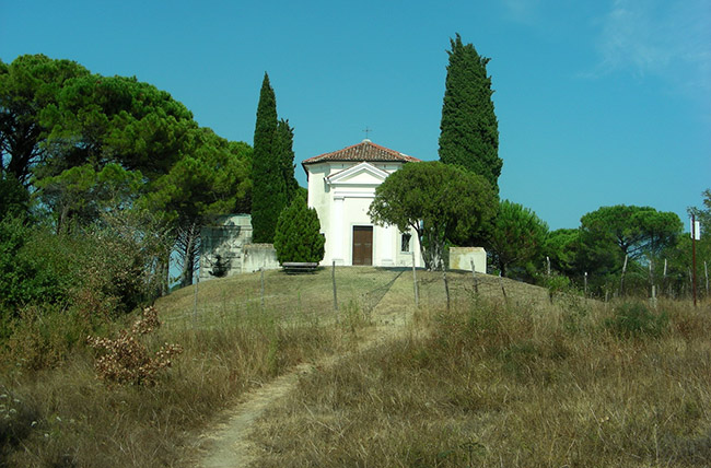 Pineta foto 3: chiesa e pineta di San Marco