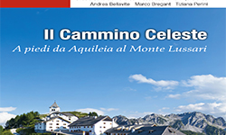 Particolare della copertina del libro "Il Cammino Celeste"